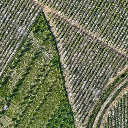 Moldero_Floracion preview