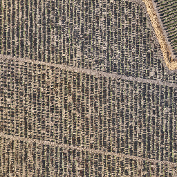 todolivo_calderito preview