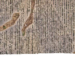 todolivo_lashazuelas preview