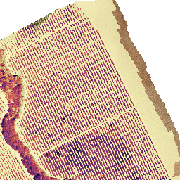 Villaseca_20210805_Temperatura preview