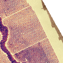 Villaseca_20210819_Temperatura preview