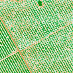Villaseca_20211021_NDVI preview